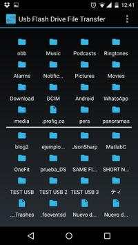 Usb Flash Drive File Transfer screenshot 2