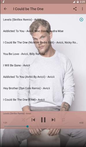 Avicii Top Music Free screenshot 2