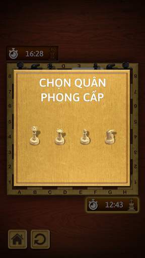 Cờ Vua screenshot 5