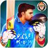 Cricket Man Of the Match : Player Career 1.36