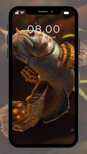 Wallpaper Ikan Channa screenshot 6