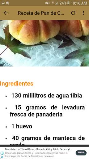 Recetas de Pan скриншот 5