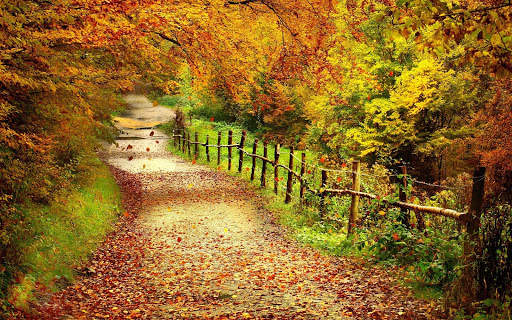 Autumn Live Wallpaper (backgrounds & themes) screenshot 14