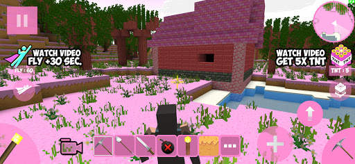 Candy Craft screenshot 1