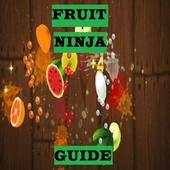 New Fruit Ninja Guide 1.0