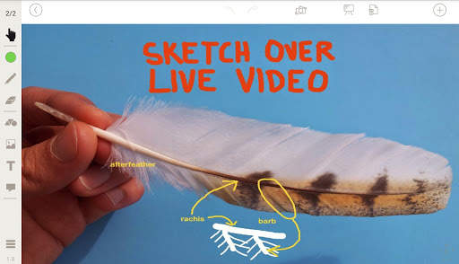Stage: Whiteboard and Camera screenshot 2