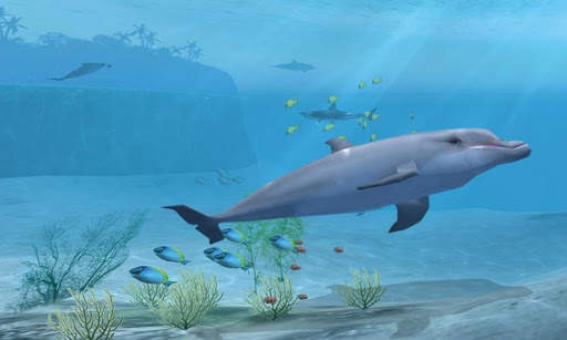 Shark VR juego de tiburones para VR screenshot 4