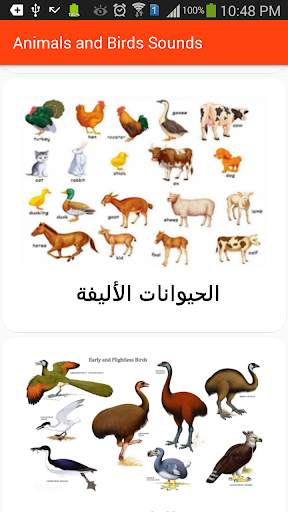 Animals and Birds Sounds screenshot 5