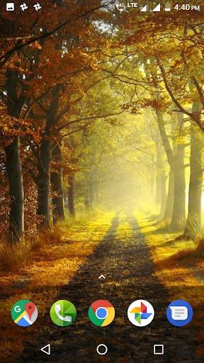 Autumn Wallpaper HD screenshot 3