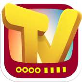 TV Replay