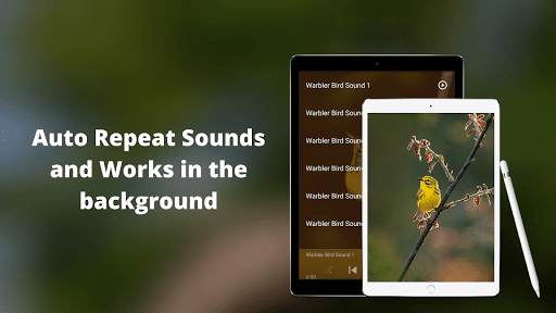 Warbler Bird Sounds screenshot 4