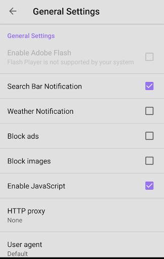 Web Browser screenshot 4