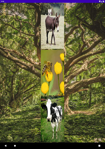 Match Animal Sounds screenshot 5