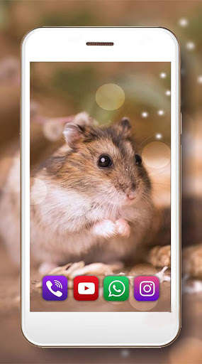 Hamsters Funny Live Wallpaper screenshot 4