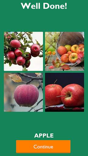 GUESS THE FRUITS NAME GAME screenshot 3