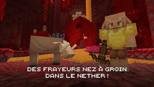 Minecraft screenshot 5