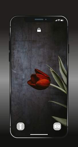 ✿ HD Flowers Wallpaper - 4K Beautiful Flowers screenshot 5