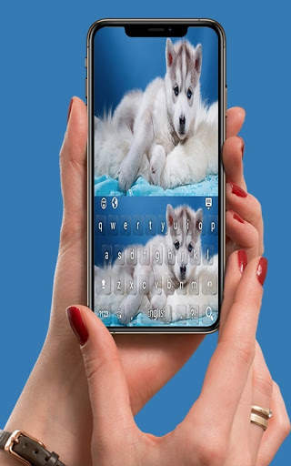 Siberian Husky Puppies Keyboard स्क्रीनशॉट 15