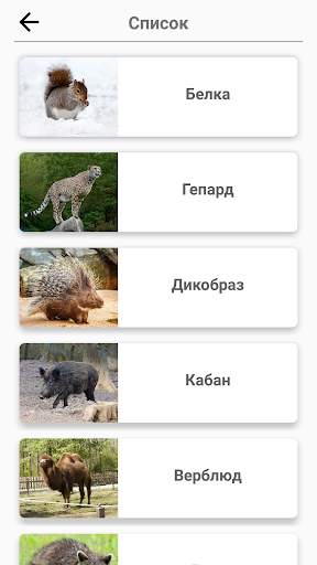 Млекопитающие – все животные в тесте по зоологии! скриншот 4