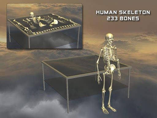 Body Disassembly 3D screenshot 11