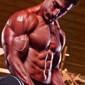 Weight Training &amp; Bodybuilding icon
