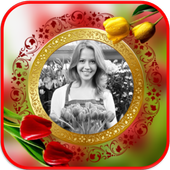 Tulip Photo Frames icon