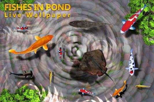 Fishes Aquarium Live Wallpaper screenshot 6
