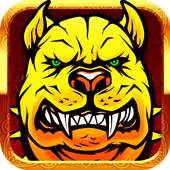 Temple Dog Run 1.6
