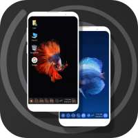 Computer launcher win 10 Aquarium