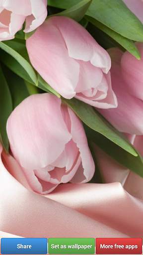 Flowers HD Wallpapers screenshot 6