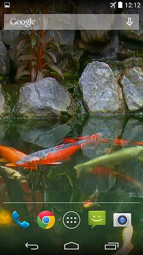 Koi Pond Video Live Wallpaper screenshot 3