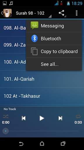 Hani Al Rifai - Quran MP3 screenshot 3