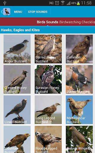 Birds of Prey Sounds Free screenshot 2