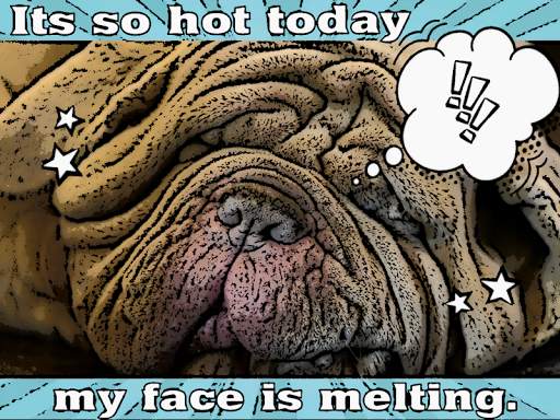 Comic Meme Maker - funny meme generator screenshot 1