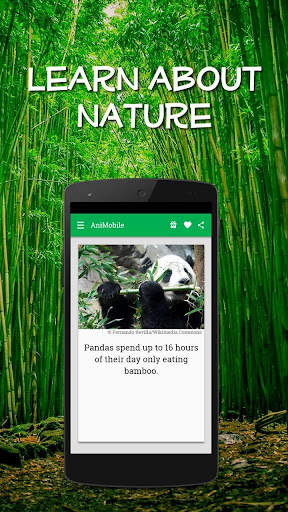 Daily Animal Facts and Pics screenshot 5