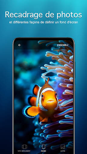 Fonds d'écran 4K poissons screenshot 4