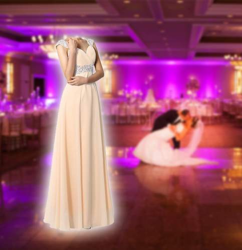 Wedding Party Photo Editor screenshot 1