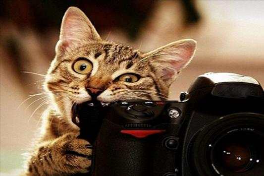 Camera For Nikon screenshot 1