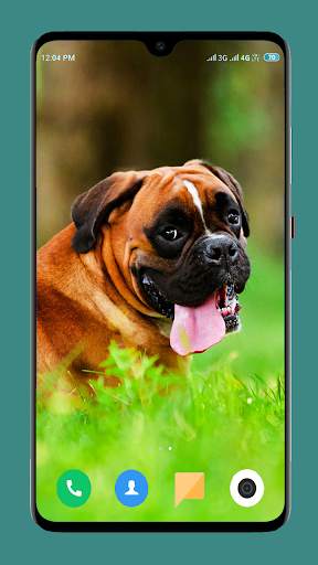 Dog Wallpaper 4K screenshot 6