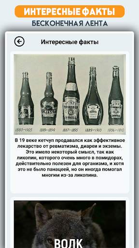 Кулинарная викторина скриншот 6