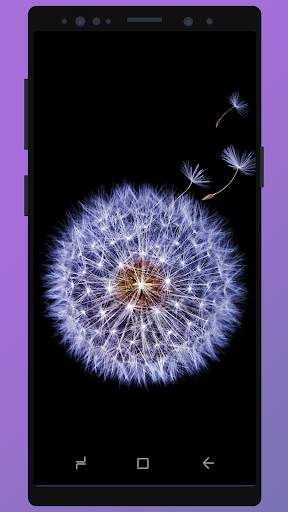 Wallpaper for Galaxy S9 - S9 Plus скриншот 5