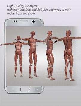 Human Anatomy 3D: Male body structure screenshot 4