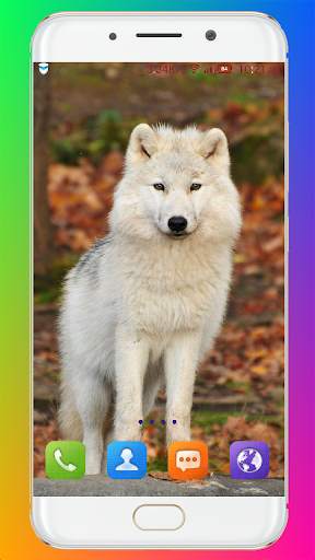 Wolf Wallpaper HD screenshot 6