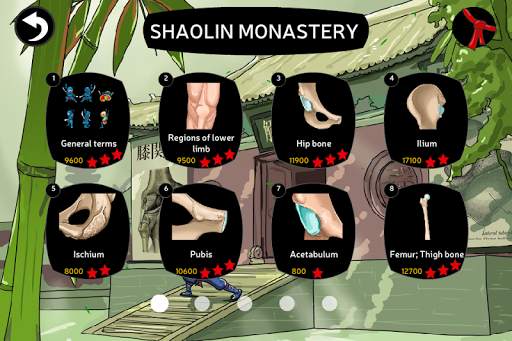 Anatomy Ninja Lower Limb screenshot 2