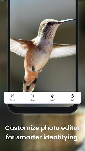 Bird identification: Picture bird identifier app screenshot 3