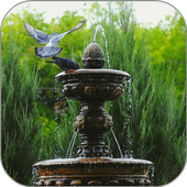 Fountain Jets Live Wallpaper أيقونة