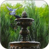 Fountain Jets Live Wallpaper 1.1