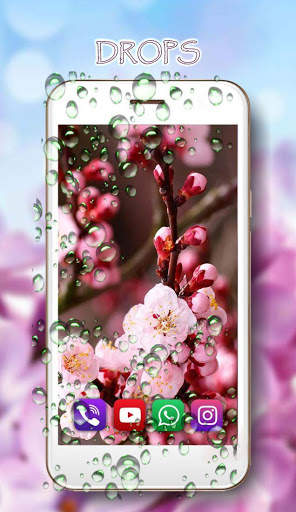 Sakura Red Live Wallpaper screenshot 2