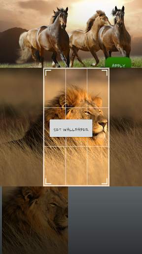 Savanna Animals Theme screenshot 6