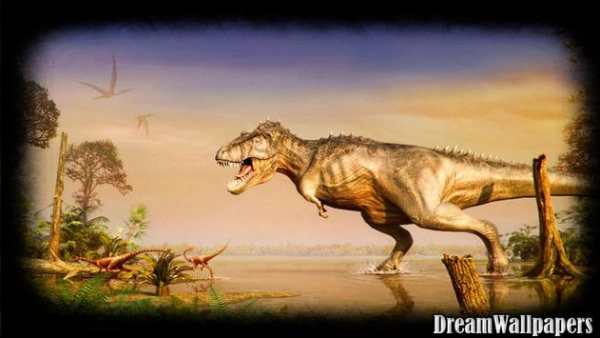 Dinosaur Wallpaper screenshot 4